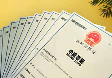 百余項證件專利商標等知識產(chǎn)權(quán)保護
